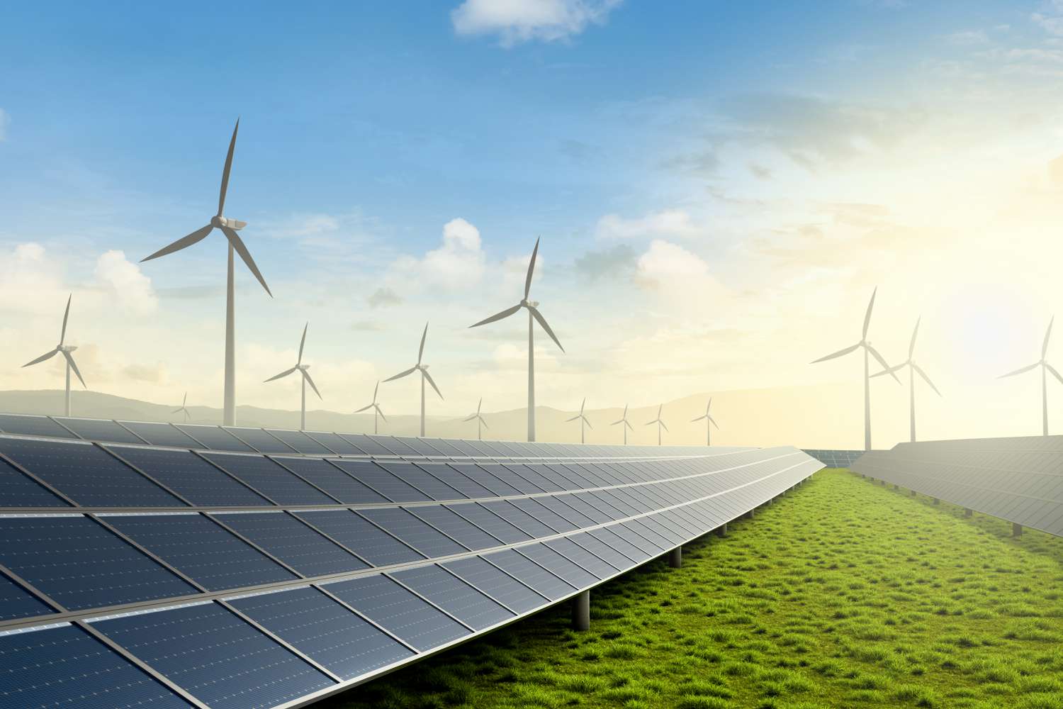 Analysing Energy Distribution Companies in Emerging Markets